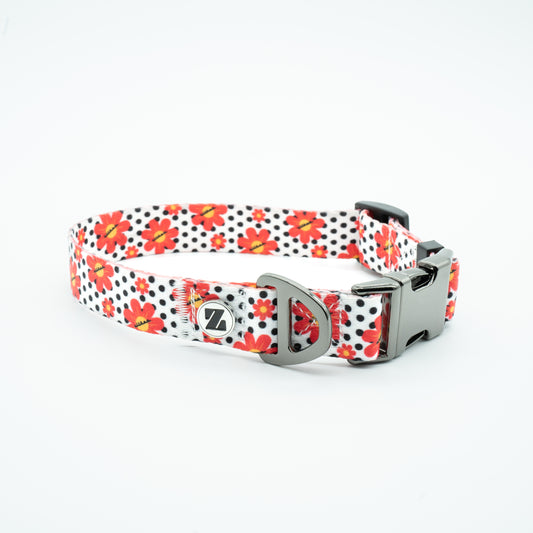 Dotted Bloom Collar