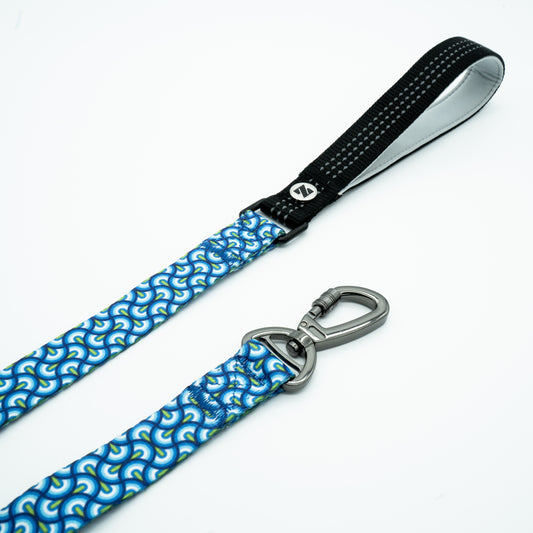 Dream Weave Leash