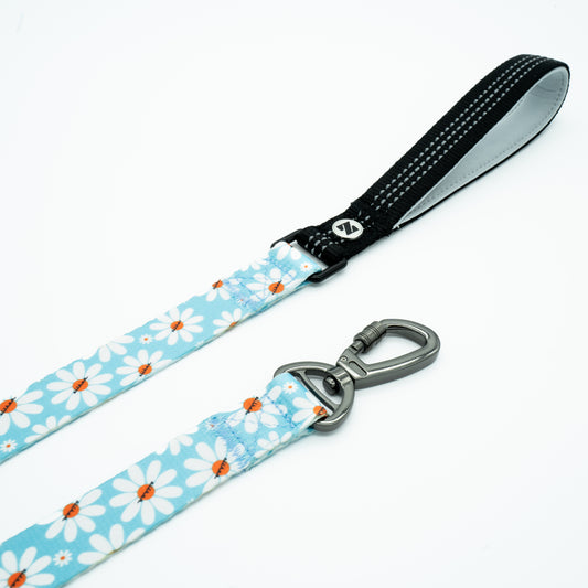 Daisy Bliss Leash